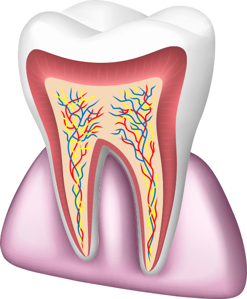 Teeth image
